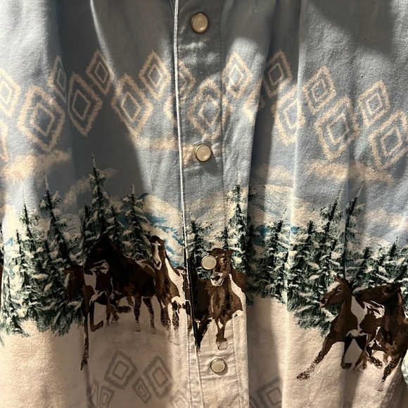 EUC Panhandle Button Down - Picture 2 of 2